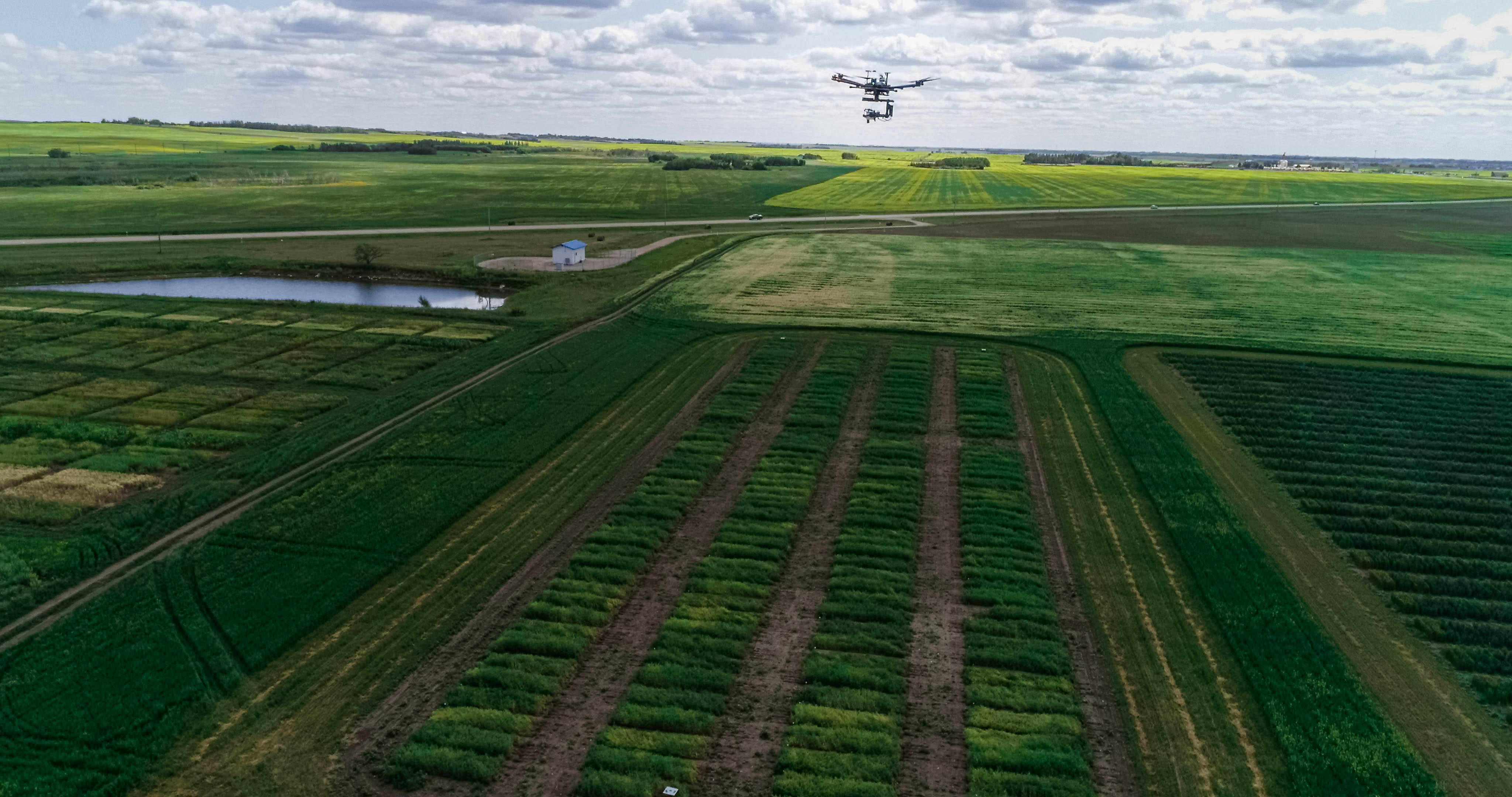 Drone captures crop images at USask’s plant research fields (Credit: Seungbum Steve Ryu)